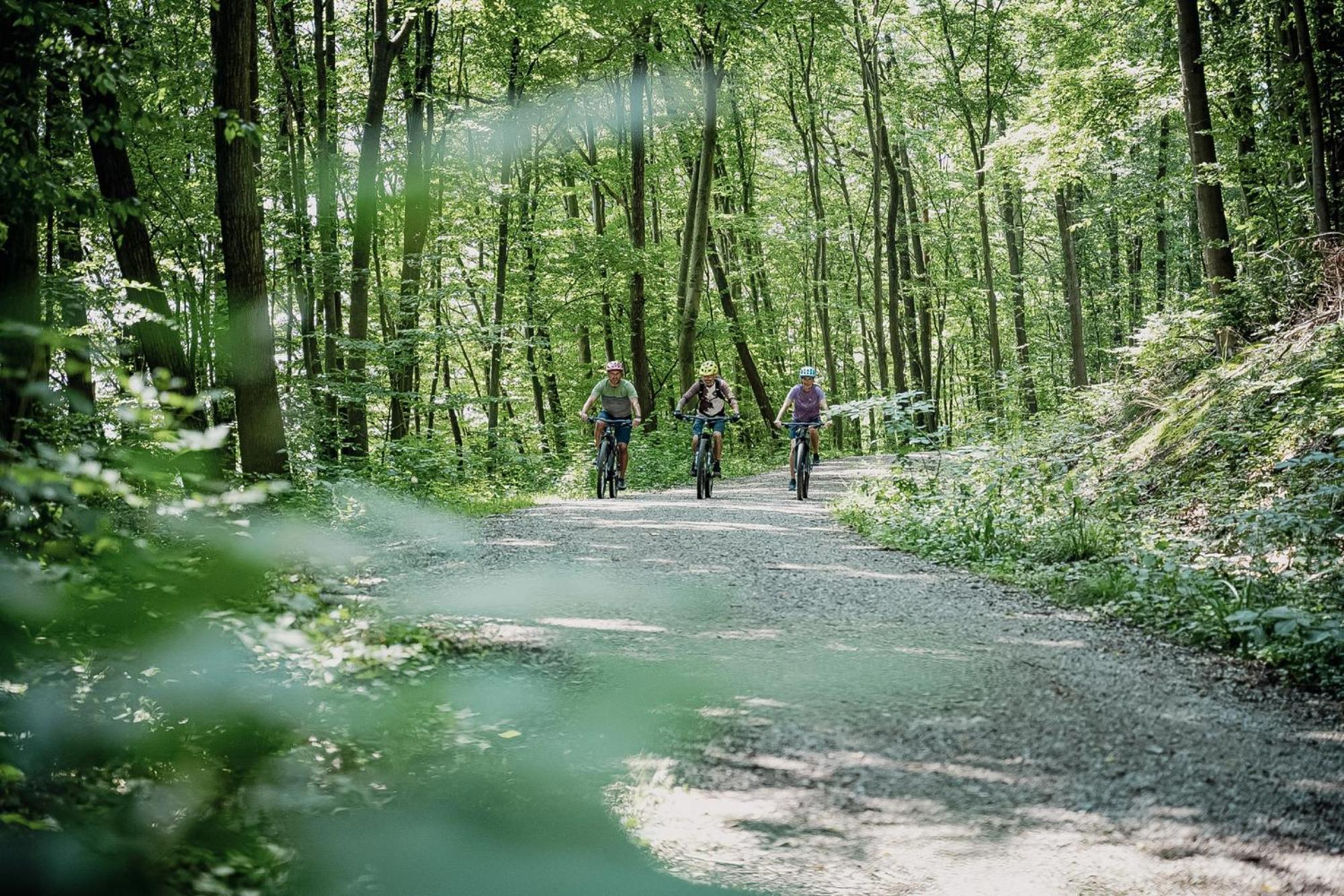 Schlosspark Mauerbach - Adults Only ภายนอก รูปภาพ